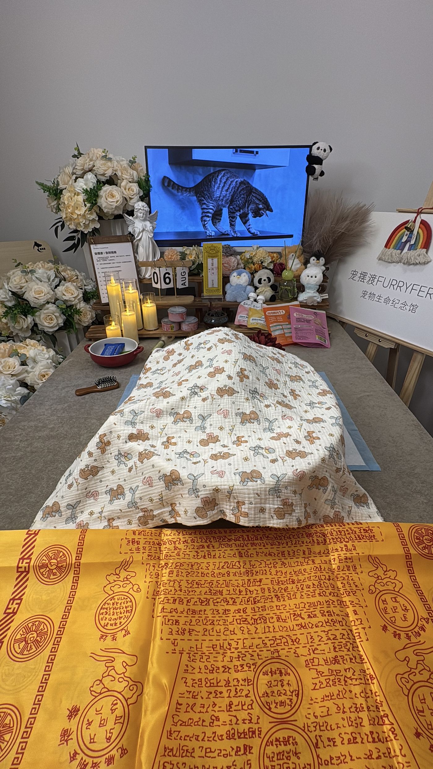 考察机构的第一件事