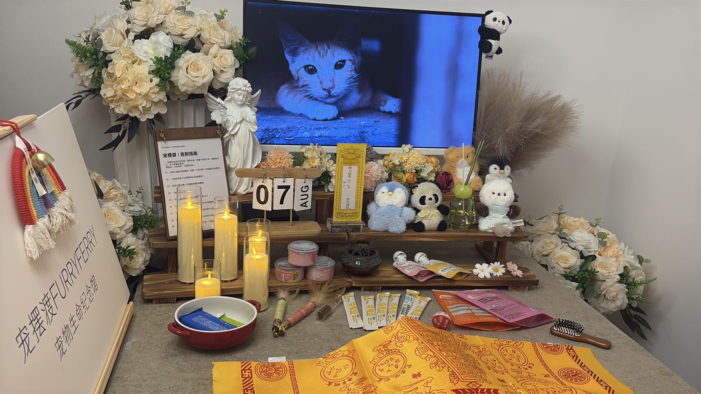 骨灰安置怎么选？中山常见的五种安葬方式对比