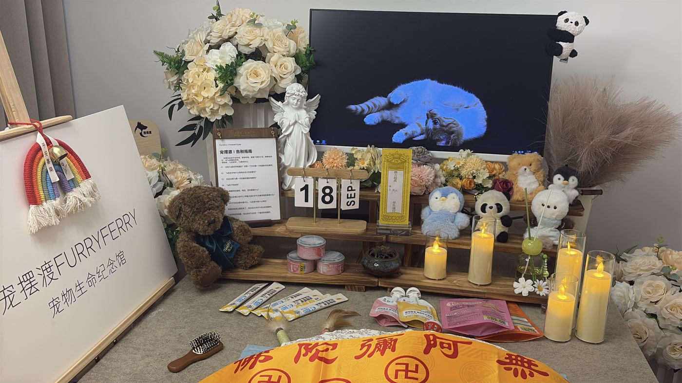 上门接回说明