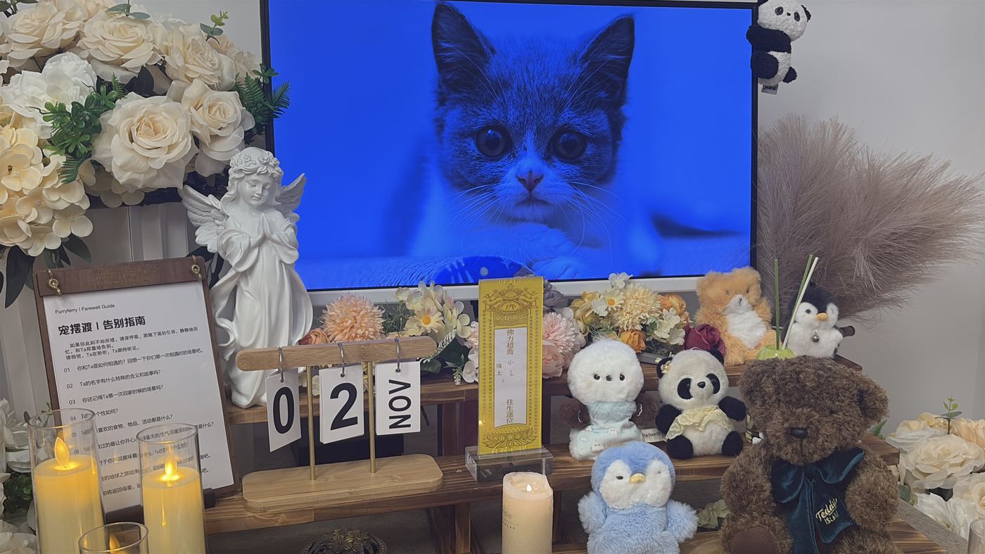 把记忆留下来的实体方式