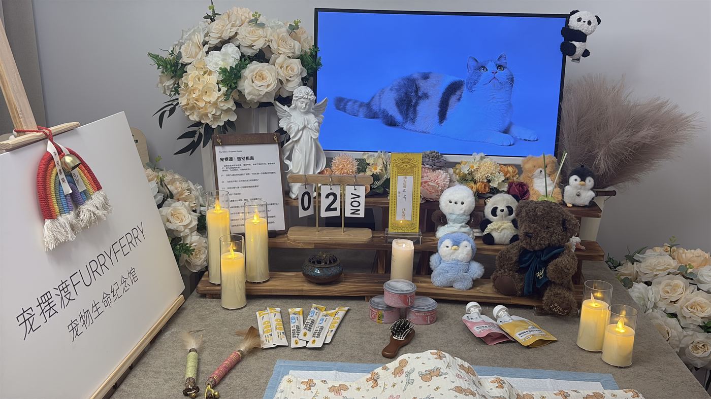 流程讲解与时长参考